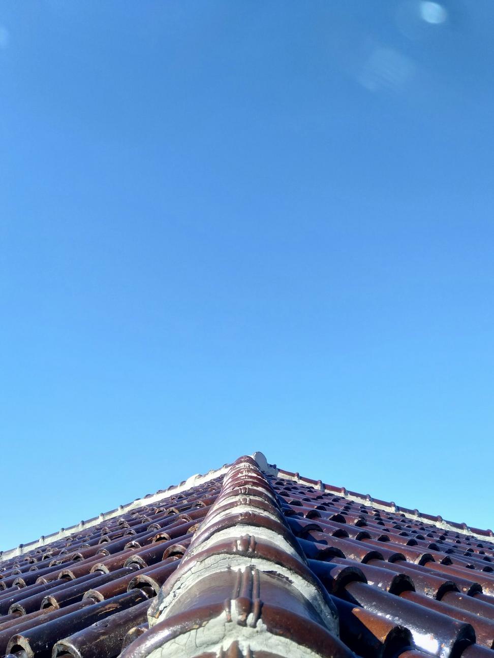 Tech Hub Green Roof