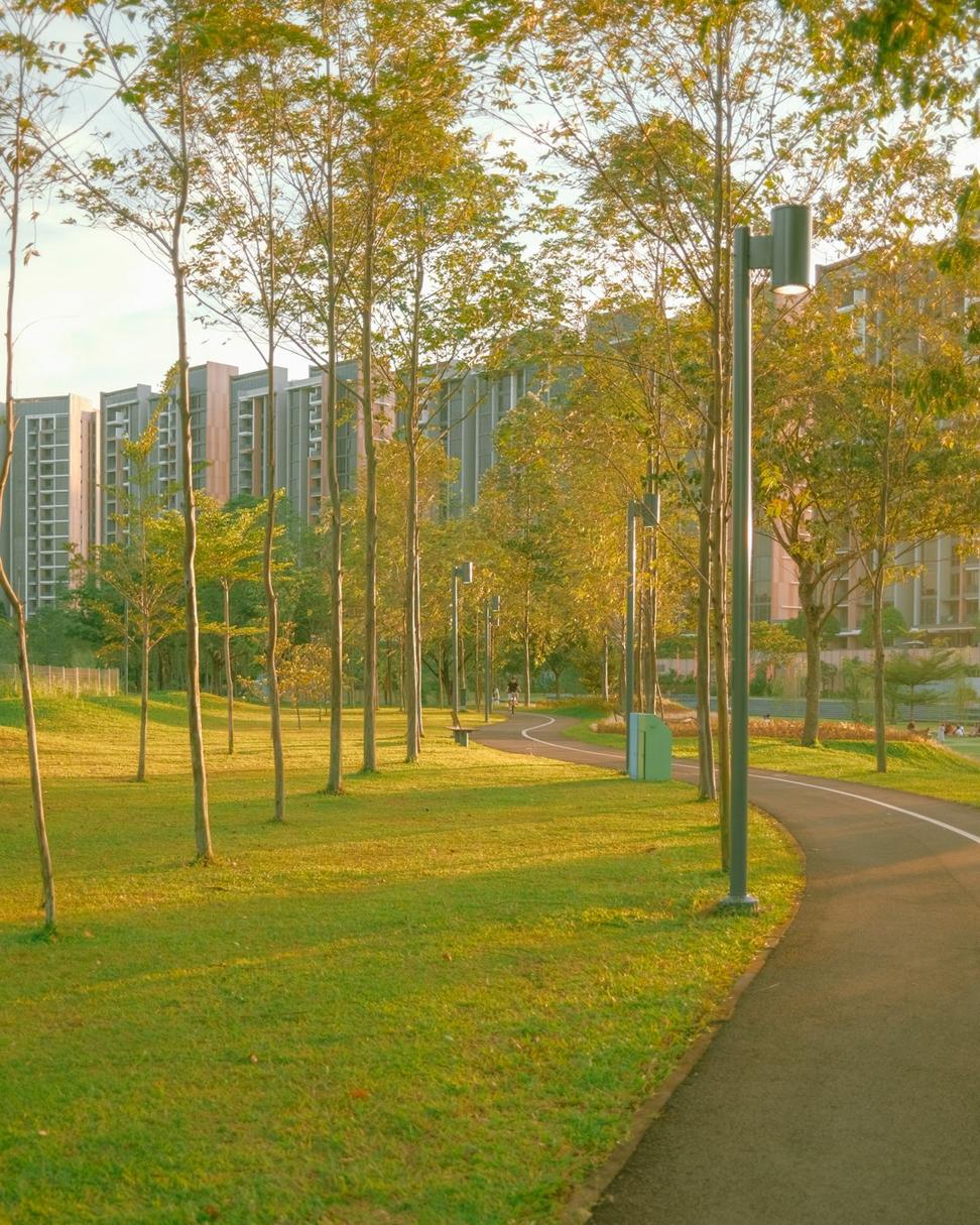 Queen Street Green Corridor