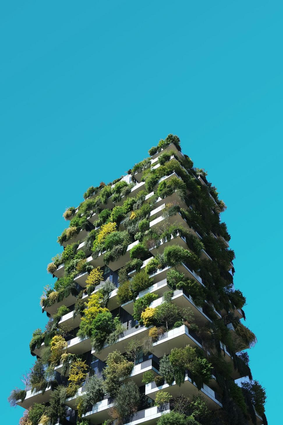 Co-Housing Collective